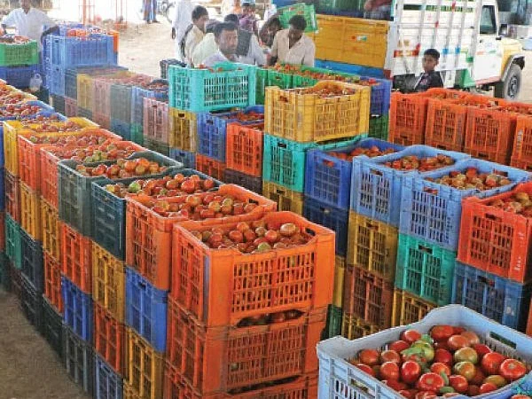 பெருந்தொற்றுக் காலத்திலும் வேளாண் ஏற்றுமதியில் சாதிக்கிறதா இந்தியா? அரசு சொல்வது என்ன?