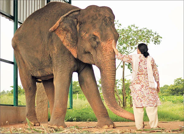 மிருதம் வளர்ப்போம்!