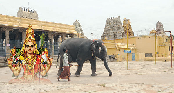 இதோ... எந்தன் தெய்வம்! - 42
