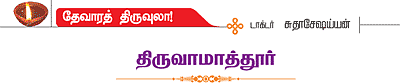 தேவாரத் திருவுலா!