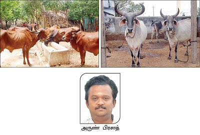 நீங்கள் கேட்டவை