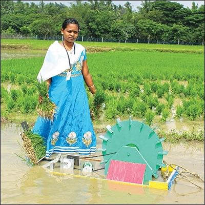 நாற்று நடலாம் எளிதாக! - அரசுப் பள்ளி மாணவியின் அசத்தல் கண்டுபிடிப்பு