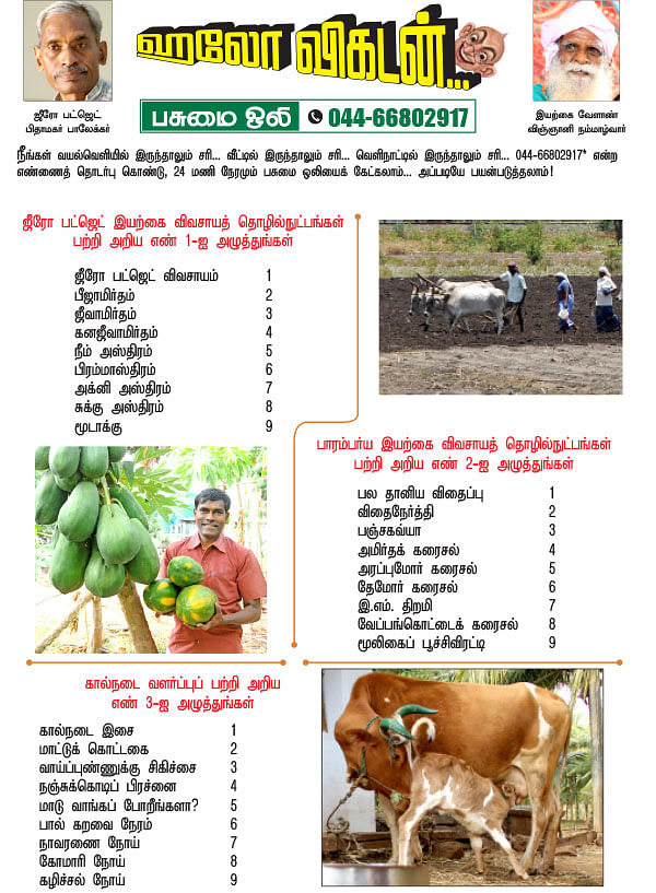 பசுமை ஒலி!