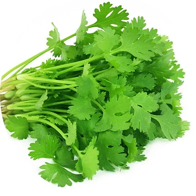 கொத்தமல்லியின் நற்பலன்கள்!