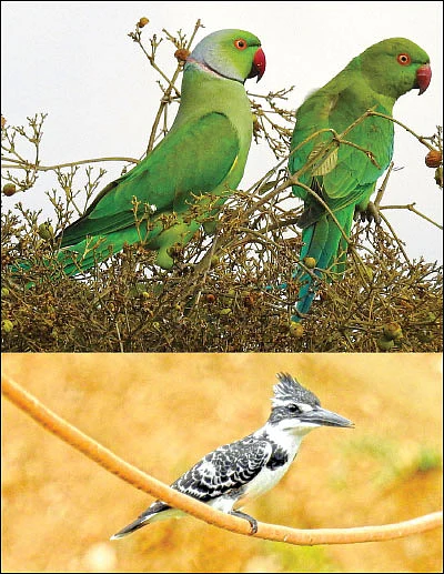 30 நாள் அவள் சேலஞ்ச் - சாதனைப் பெண் ஆகணுமா? சவாலைச் சந்தியுங்கள்!