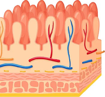 இனி எல்லாம் சுகமே - 13