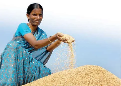உங்கள் தட்டில் உணவா விஷமா ? - 5