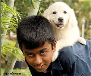 செல்லம் வளர்க்கலாம் உள்ளம் மகிழலாம் !