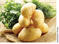 முத்துக்கள் பத்து!