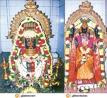 அரனே... சிவனே... அம்பலவாணா!