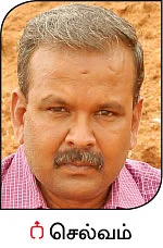 பருவமழைக்காலம் பூச்சி, நோய்கள்... உஷார்!