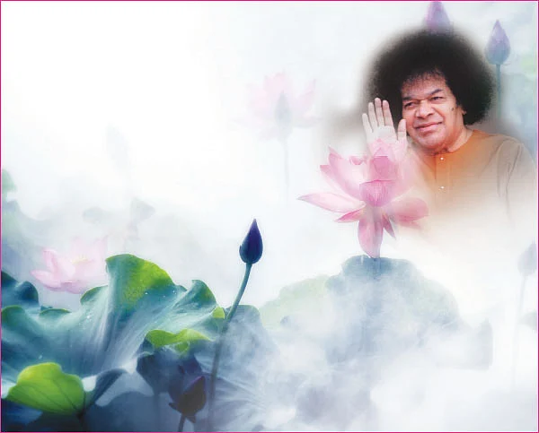 சத்தியப் பாதையில்..!