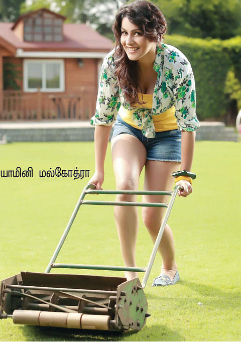 க்ளீன் இந்தியான்னா இப்படித்தானே?