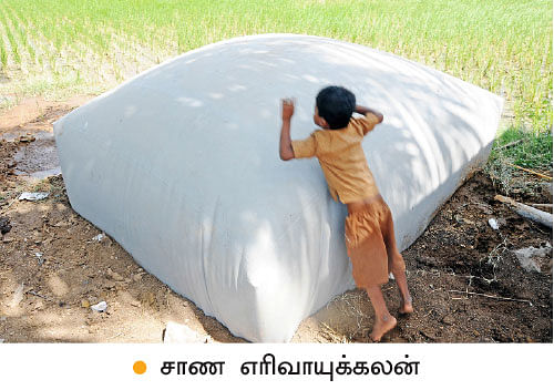 ’ஒரு நாள் விவசாயி!’