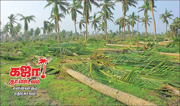 கஜா தாண்டவம் - என்னவாகும் எதிர்காலம்!