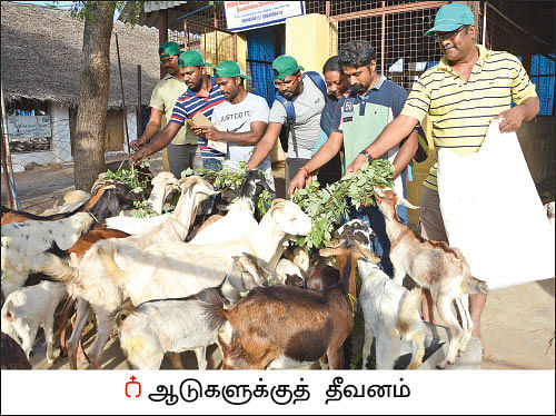 ஒரு நாள் விவசாயி! பருவம் 2 - பண்ணையை நோக்கி பயனுள்ள பயணம்