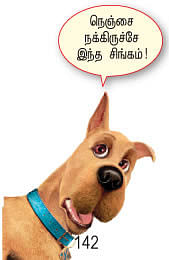 பாசக்கார சிங்க ராசா!