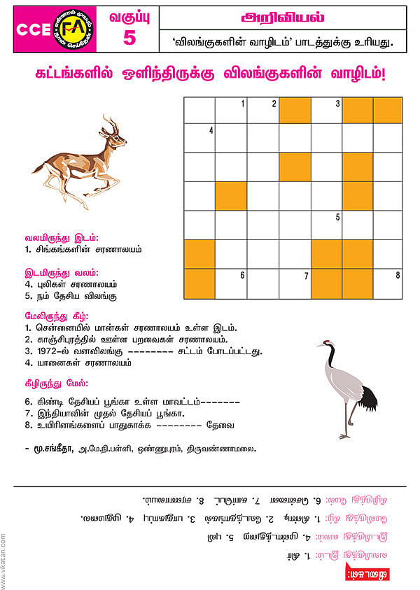 கட்டங்களில் ஒளிந்திருக்கு விலங்குகளின் வாழிடம்!
