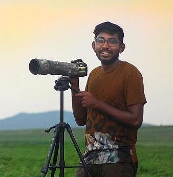 `பசிக்காக செங்குத்துப் பாறைகளில் பயணம்!’ - நீலகிரியில் யானைகளின் அவலநிலை