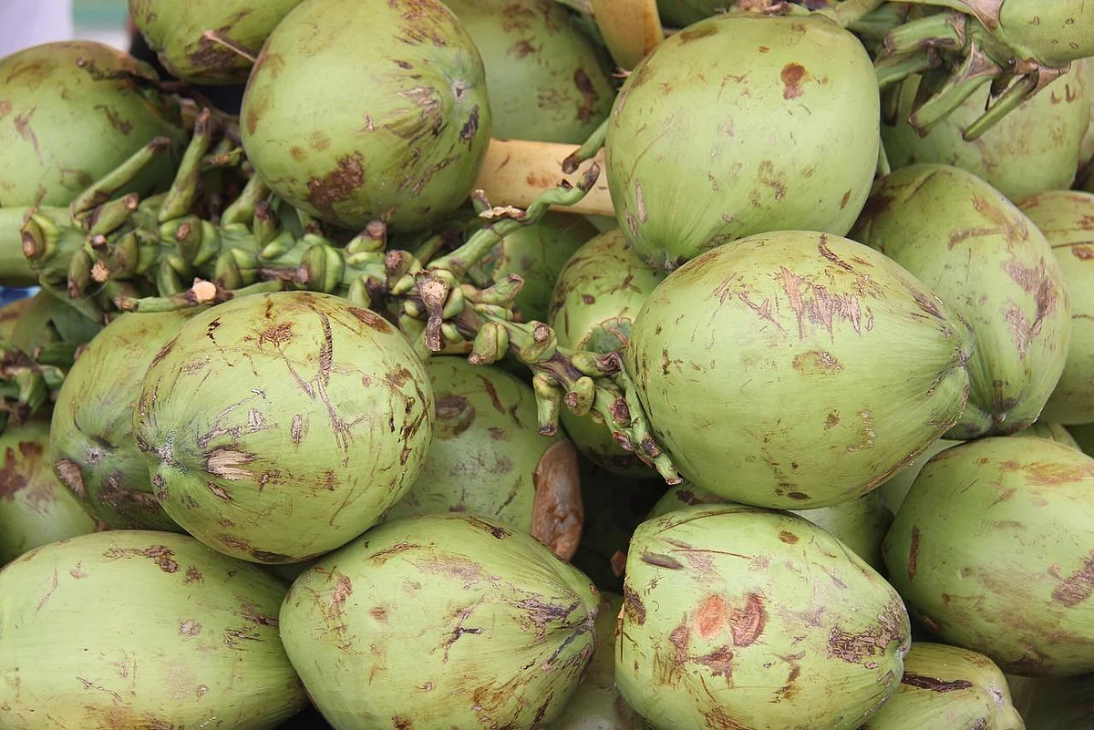 வெப்பம் தணிக்கும், உடல் உபாதைகளைப் போக்கும் இளநீர், நுங்கு!