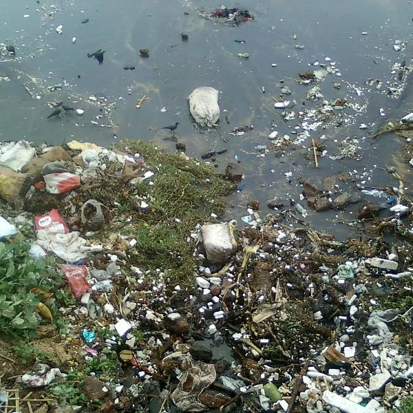 மாசு கலந்த நீர்... மூளை நோய்க்குக் காரணம்!#WhereIsMyWater