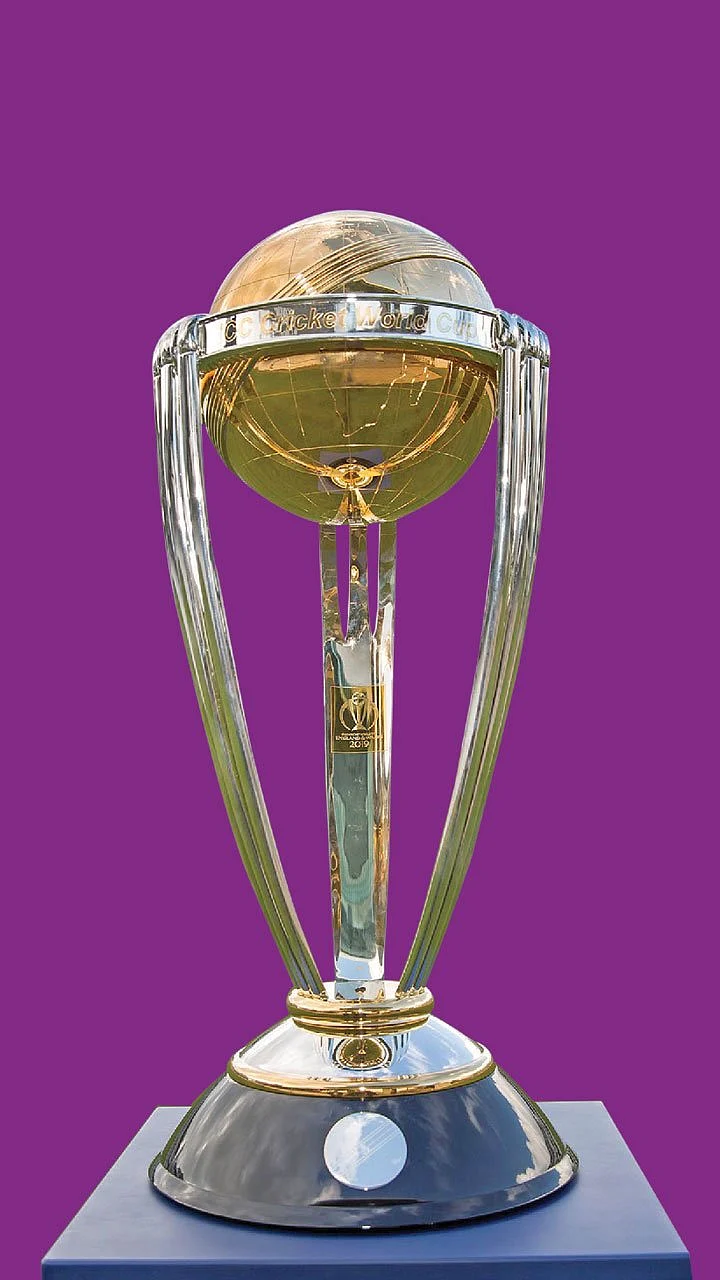 கோப்பைகளின் கதைகள்