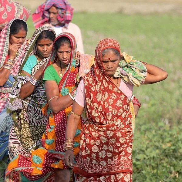 மீண்டும் வாய்ப்பளித்த பழங்குடிகள்... பிரச்னைகளைத் தீர்க்குமா புதிய அரசு?!