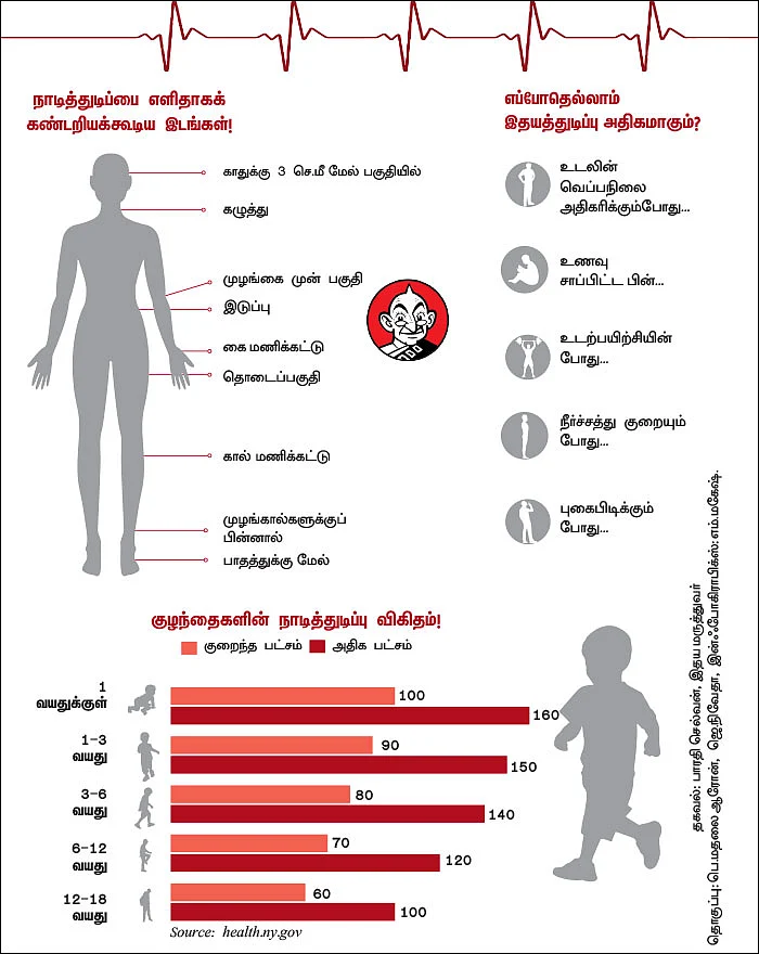 இதயத்துடிப்பு - நாடித்துடிப்பு