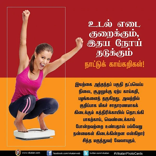 சுரைக்காய், பீர்க்கங்காய், வெண்டைக்காய்... நலம் காக்கும் நாட்டுக்காய்கறிகள்! #VikatanPhotoCards