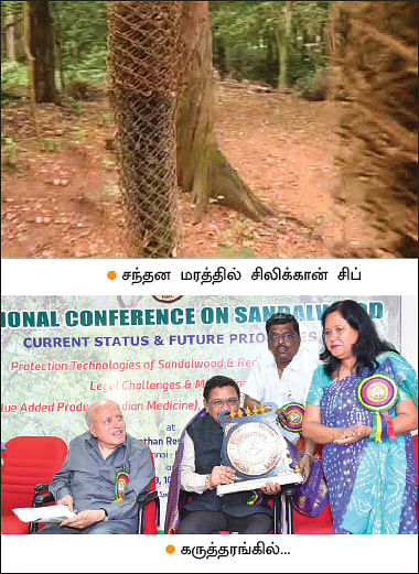 மண்புழு மன்னாரு: சந்தன மரங்களைப் பாதுகாக்கும் சிலிக்கான் சிப்!