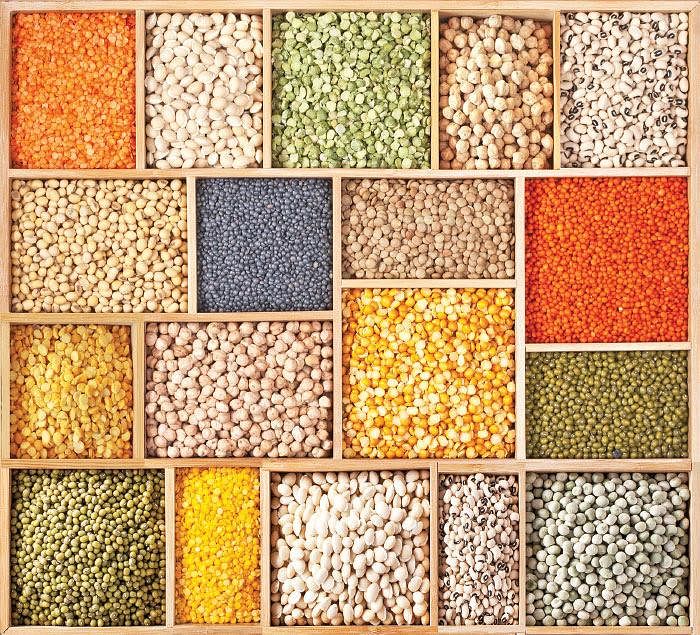 Agri Export for abundant income... Successful strategies! Part 10