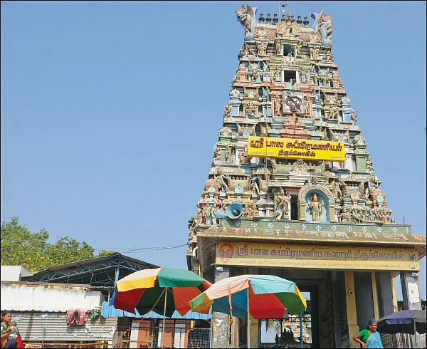 கண்டுகொண்டேன் கந்தனை - 5