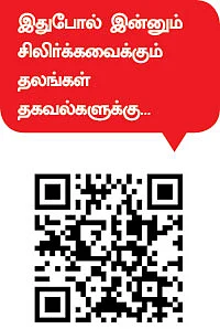 சிலிர்க்கும் தரிசனம்!
