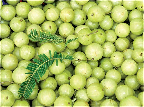 குழந்தைகளின் நினைவாற்றலை அதிகரிப்பது எப்படி?