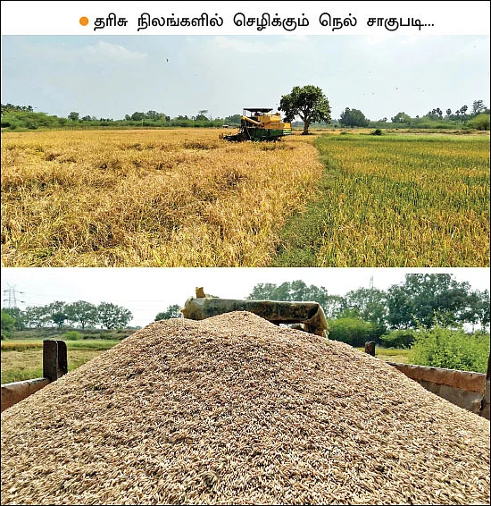 வறட்சியை வென்ற கிராமம்... தரிசு நிலங்களில் நெல் சாகுபடி…