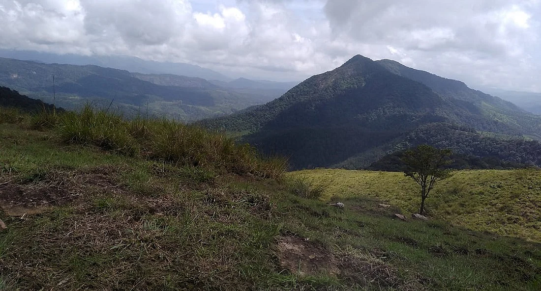 ஆனைமலை புலிகள் காப்பகம்