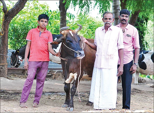 18 கறவை மாடுகள் மாதம் ரூ. 1,89,000 - பால், தயிர், பால்கோவா, பன்னீர்…