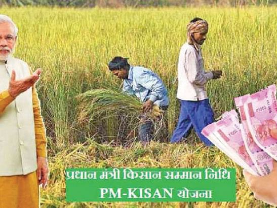 பி.எம் கிசான் திட்டம்: ரூ.8000 கிடைக்குமா? 
விவசாயிகள் அவசியம் செய்ய வேண்டியது இதுதான்!