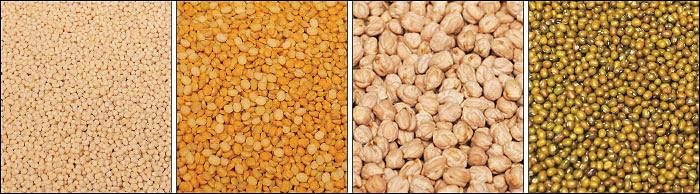 Agri Export for abundant income... Successful strategies! Part 10