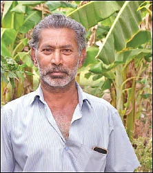 வறட்சியை வென்ற கிராமம்... தரிசு நிலங்களில் நெல் சாகுபடி…
