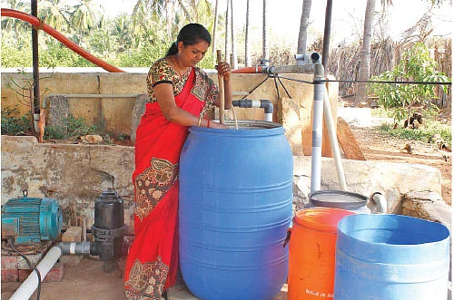 இயற்கை எலுமிச்சை கொடுக்கும் இனிப்பான மகசூல்! - லட்சங்களில் வருமானம்!