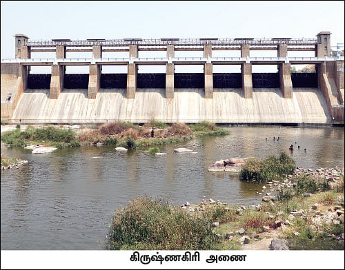 தென்பெண்ணையை அபகரித்த கர்நாடகம்! - செயற்கை வறட்சியால் கலங்கும் தமிழக விவசாயிகள்!