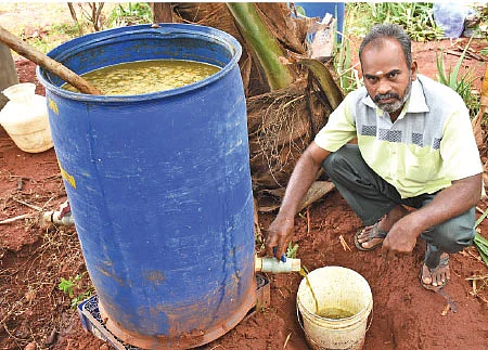 மருந்துக் கடைக்காரரின் மருத்துவ நெல் சாகுபடி! - 1 ஏக்கர் 36 சென்ட்... ரூ.64,320 லாபம்! தூயமல்லி, நவரா, சீரகச்சம்பா...