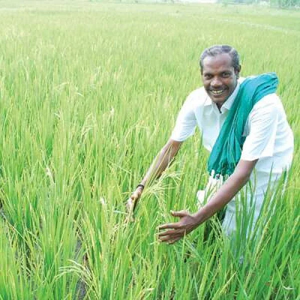 "பாடப்புத்தகம் வழியா அடுத்த தலைமுறைக்குப் போகப்போறார்" நெல் ஜெயராமன் மனைவி சித்ரா நெகிழ்ச்சி