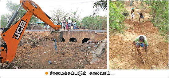 வறட்சியை வென்ற கிராமம்... தரிசு நிலங்களில் நெல் சாகுபடி…