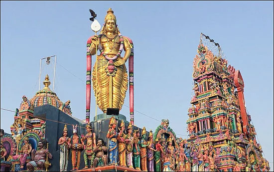 சிலிர்க்கும் தரிசனம்!