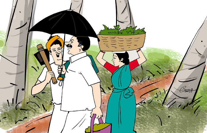 மரத்தடி மாநாடு: டெல்டா மாவட்டங்களில் காய்கறி, பழங்கள், மலர்கள்...
