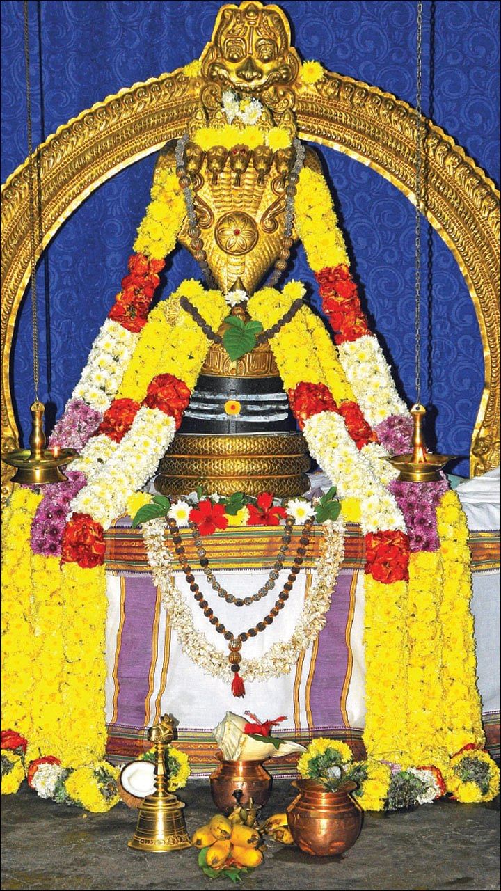 “அஷ்டலிங்க பூஜை செய்யும் உரிமை எங்களுக்கே!” - சிவனடியார் Vs சிவாச்சாரியார்