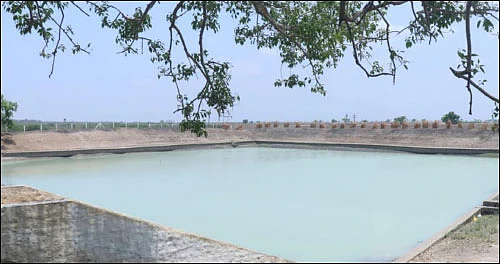 நீர் மேலாண்மை: வறட்சியிலும் நீர் ததும்பும் ஊரணி!