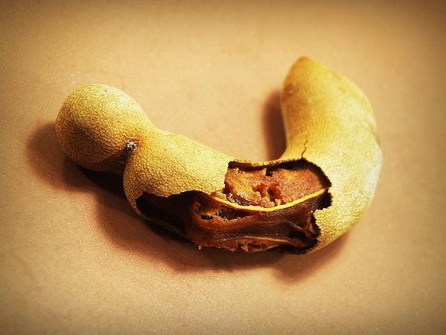 Spice Box Container – Tamarind – the Spiker!